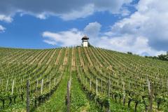 IMG-20260530-WA0027