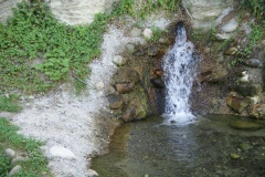 SONY DSC