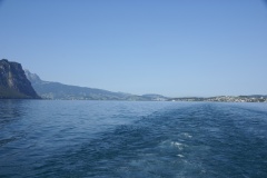 SONY DSC