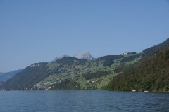 SONY DSC