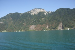 SONY DSC