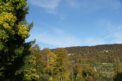SONY DSC