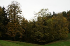 SONY DSC