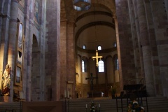 SONY DSC